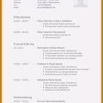 Pdf Lebenslauf Vorlage Cool 18 Lebenslauf Pdf Vorlage