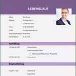 Pdf Lebenslauf Vorlage Elegant Lebenslauf Einfach Vorlage Lebenslauf Beispiel