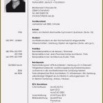 Pdf Lebenslauf Vorlage Elegant Vorlage Lebenslauf Schueler thedagger T