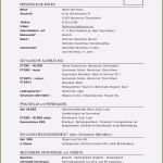 Pdf Lebenslauf Vorlage Großartig 6 Lebenslauf Anschreiben Beispiel Pdf Vorlagen123