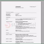 Pdf Lebenslauf Vorlage Luxus Lebenslauf Vorlage Download