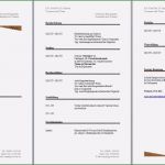 Pdf Lebenslauf Vorlage Neu Lebenslauf Vordruck Download thelayer