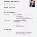Pdf Lebenslauf Vorlage Neu Tabellarischer Lebenslauf Vorlage Kostenlose Muster Zum