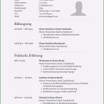 Pdf Lebenslauf Vorlage Schön Lebenslauf formular Zum Ausdrucken Lebenslauf Beispiel
