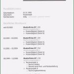 Pdf Lebenslauf Vorlage Schön Lebenslauf Muster Kostenlos Download Pdf