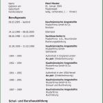 Pdf Lebenslauf Vorlage Süß 12 Lebenslauf Vorlage Kostenlos Pdf