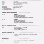 Pdf Lebenslauf Vorlage Wunderbar Tabellarischer Lebenslauf Vorlage Kostenlose Muster Zum