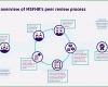 Peer Review Vorlage Schönste Peer Review An Insight Into Msfhr’s Principles and