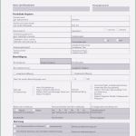 Personalfragebogen Pdf Vorlage Beste 30 Personalfragebogen Vorlage Word Brontepublicschool