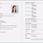 Personalfragebogen Pdf Vorlage Einzigartig Personalfragebogen Vorlage Word Die Erstaunliche