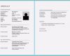 Personalfragebogen Pdf Vorlage Neu Lebenslauf Muster Kostenlos Vorlage Beispiele