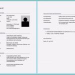 Personalfragebogen Pdf Vorlage Neu Lebenslauf Muster Kostenlos Vorlage Beispiele