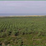 Pflanzenschutz Dokumentation Vorlage Weinbau Schön Weinbau Gironde Frankreich