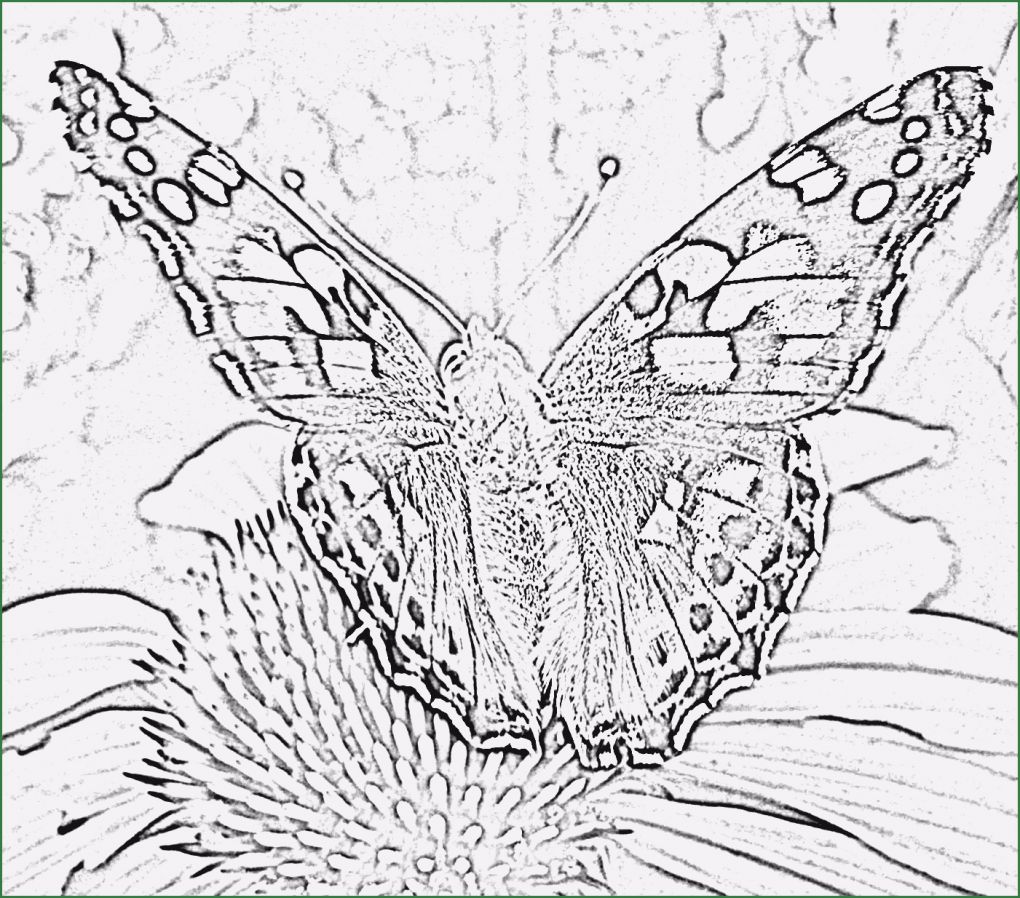 Photoshop Stempel Vorlage Luxus Recyclingkunst Und Der Versuch Langsam Und Nachhaltig Zu