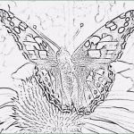 Photoshop Stempel Vorlage Luxus Recyclingkunst Und Der Versuch Langsam Und Nachhaltig Zu