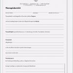 Physiotherapie Befund Vorlage Angenehm therapiebericht Mit Ihren Kontaktdaten Und Logo 1 Block à