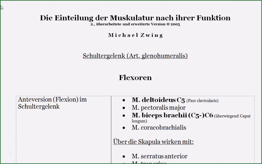 Physiotherapie Befund Vorlage Bewundernswert Die Einteilung Der Muskulatur Nach Ihrer Funktion