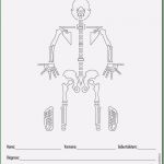 Physiotherapie Befund Vorlage Gut Befund Physiotherapie Vorlage S Musterschreiben Gkv Wegen