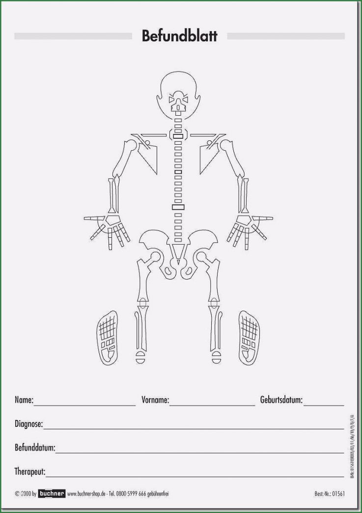 Therapiebericht Physiotherapie Vorlage mit Befunden und Ergebnissen