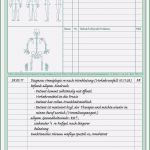 Physiotherapie Befund Vorlage Hübsch Befund Physiotherapie Vorlage Neu tolle Knochen Vorlage