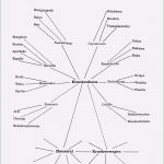 Planung Kindergarten Vorlage Luxus 17 Reflexion Schreiben Erzieher Muster