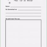 Portfolio Krippe Vorlagen Großartig Portfolio Vorlagen Zum Ausdrucken Kinderbilder Download