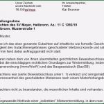 Pressemitteilung Schreiben Vorlage Wunderbar Stellungnahme Schreiben Beispiel Brief Pressemitteilung
