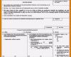 Proforma Invoice Vorlage Einzigartig 17 Proforma Rechnung formular