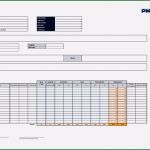 Projektmanagement Arbeitspakete Vorlage Gut Download Templates