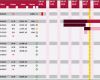 Projektmanagement Excel Vorlage Kostenlos Großartig Projektplan Excel