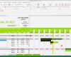 Projektmanagement Excel Vorlage Kostenlos Wunderbar Projektplan Excel