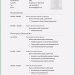 Prozesslandkarte Vorlage Download Gut Prozesslandkarte Vorlage Luxus 30 Neu Lebenslauf Muster