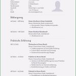 Rechnung Kleinunternehmer Vorlage Word Großartig Lebenslauf Zum Kopieren Möglichkeit Von Rechnung
