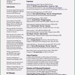 Rechnung Usa Vorlage Einzigartig Lebenslauf Vorlage Kostenlos Download Word