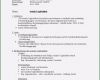 Rechnung Usa Vorlage Großartig 18 Handout Muster