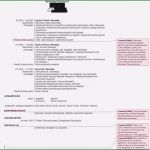 Schauspieler Vita Vorlage Bewundernswert Lebenslauf Vita