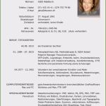 Schauspieler Vita Vorlage Einzigartig Vita Beispiel