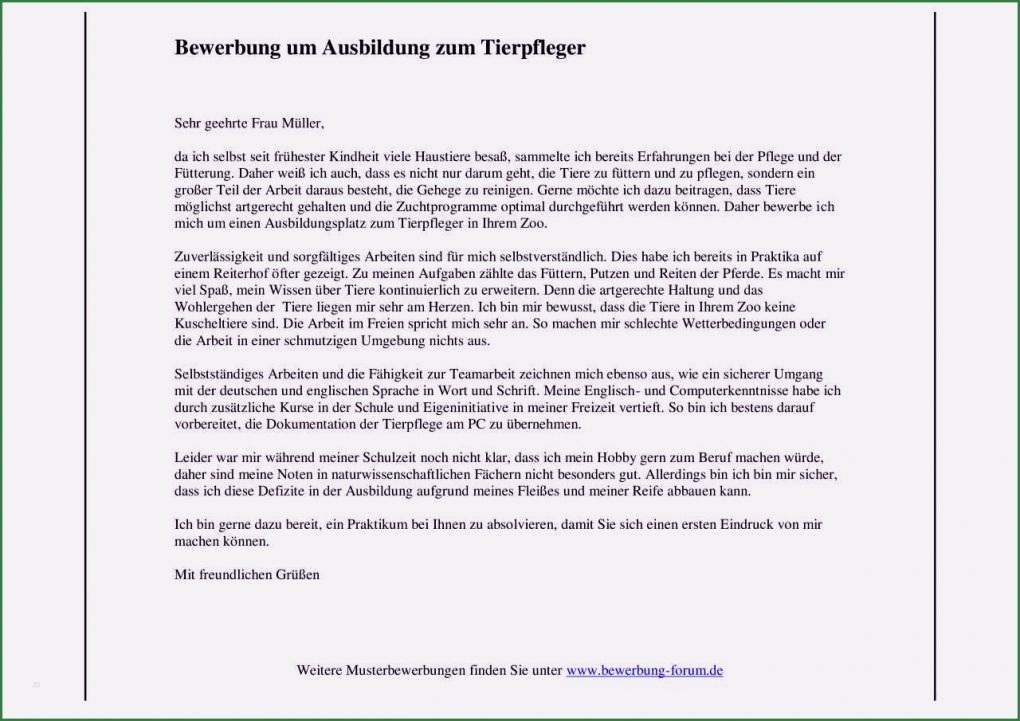 Schlechte Bewerbung Vorlage Erstaunlich 8 Bewerbung Tierpfleger Vorlage