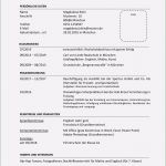 Schlechte Bewerbung Vorlage Erstaunlich Beispiele Lebenslauf Positive Und Negative Beispiele