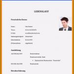 Schülerpraktikum Lebenslauf Vorlage Fabelhaft 18 Lebenslauf Frür Schulpraktikum