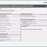 Selbsteinschätzung Mitarbeiter Vorlage Elegant 13 Selbsteinschätzung Mitarbeiter Muster