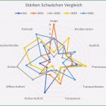 Stärken Schwächen Analyse Mitarbeiter Vorlage Wunderbar Stärken Schwächen Analyse
