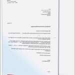 Suche Nachmieter Vorlage Großartig 10 Kündigung Wohnung Nachmieter