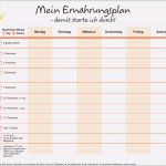 Tagebuch Abnehmen Vorlage Angenehm 15 Speiseplan Vorlage Kinder