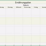 Tagebuch Abnehmen Vorlage Wunderbar 4 Essensplan Wochenplan Gratis Vorlage Kw 8 Frau Schiller