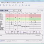 Tagebuch Schwangerschaft Vorlage Bewundernswert Blutzucker Tabelle Zum Eintragen Excel Durchgehend Neueste