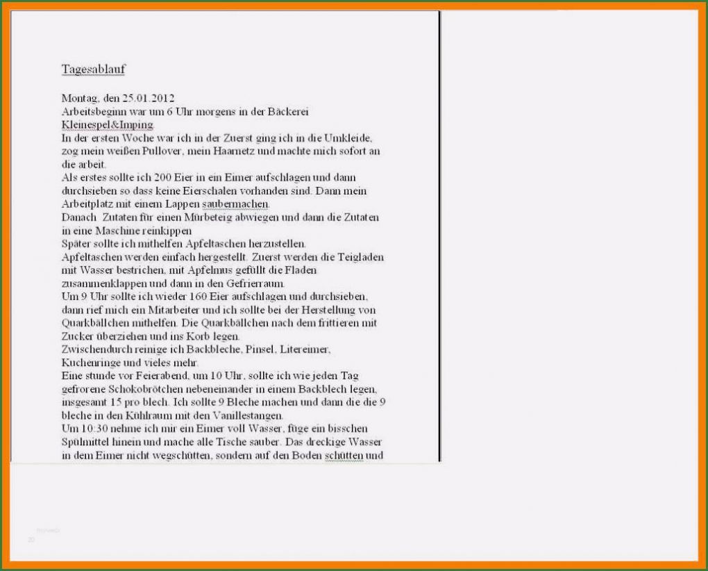 Tagesbericht Praktikum Kfz Mechatroniker Vorlage Hübsch 7 Praktikumsbericht Beispiel