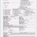 Teilelebenslauf Nach Vda Vorlage Hübsch 6 Empb Vda Vorlage Sampletemplatex1234 Sampletemplatex1234