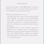 Testament Schreiben Vorlage Hübsch 19 Handschriftliches Testament Muster Sjsuforensics