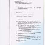 Testament Vorlage Word Einzigartig Best Bild Von Testament Vorlage Ehepartner Alleinerbe